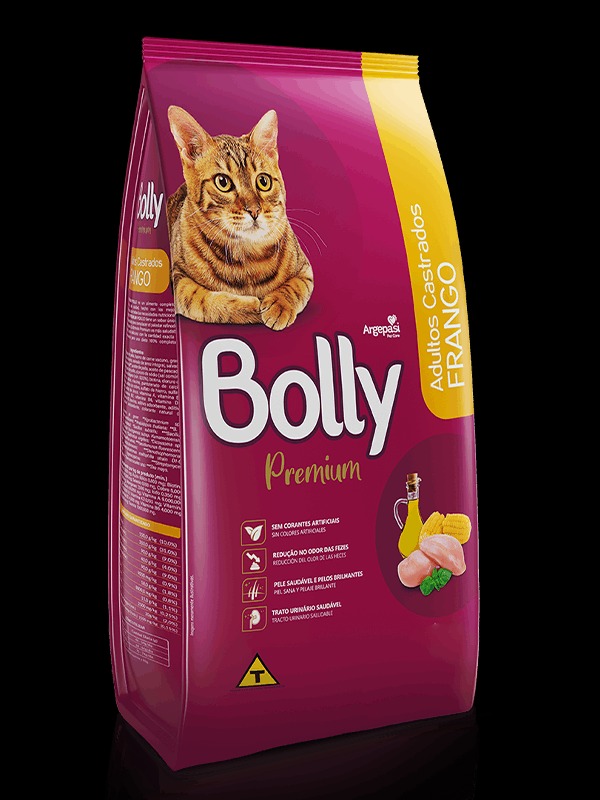 Bolly gato