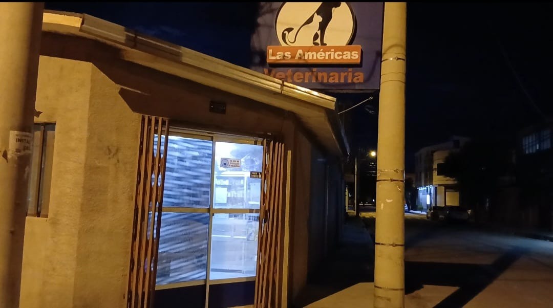 Imagen de la veterinaria